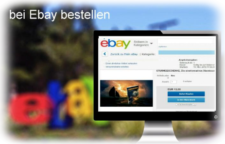 Bestellung bei Ebay